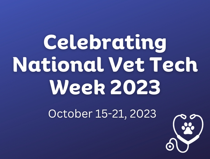 National Veterinary Technician Week | Companion Animal Care